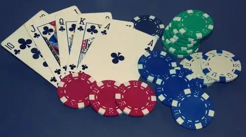 8277bet